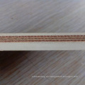 La industria del azúcar utiliza la cinta transportadora de nylon de múltiples capas de la cinta transportadora blanca